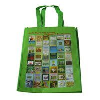 綦江LB11覆膜无纺布广告袋